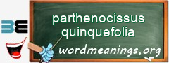 WordMeaning blackboard for parthenocissus quinquefolia